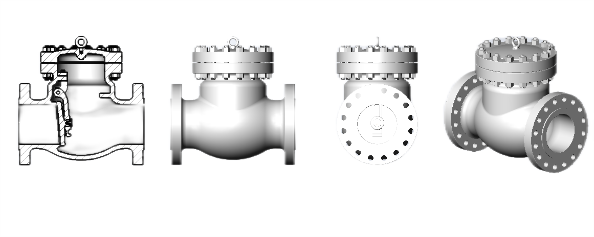 Clapet anti-retour cryogénique en acier moulé desc