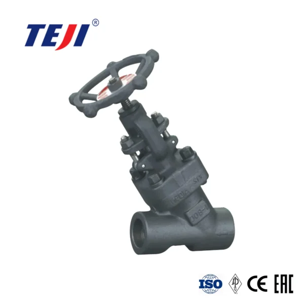 Y Type Forged Globe Valve